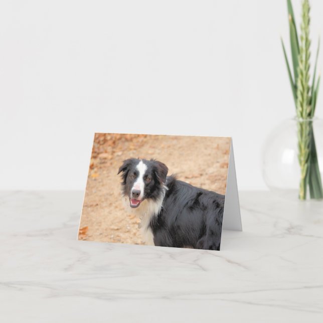 Cartão De Festividades Rene (Frente)