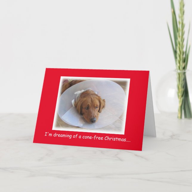 Cartão De Festividades Rescue Dog in Cone Christmas Card (Frente)