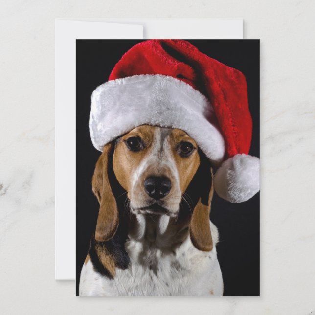 Cartão De Festividades Retrato de cão vestindo chapéu de Natal (Frente)
