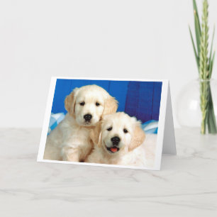 Cartão De Festividades Retrato de dois filhotes de labrador