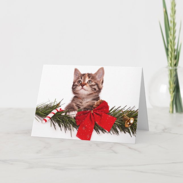 Cartão De Festividades Retrato De Gatinho De Natal Bonito (Frente)