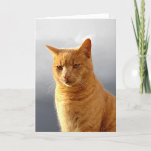 Cartão De Festividades Retrato de Merlin o gato ruivo