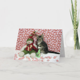 Cartão De Festividades Retrato de Natal de Bandit - Gato / Gatinho