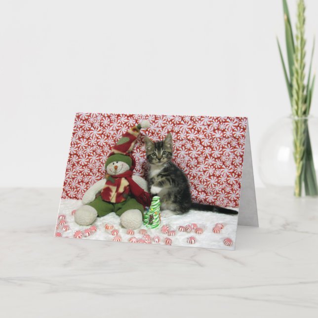 Cartão De Festividades Retrato de Natal de Bandit - Gato / Gatinho (Frente)