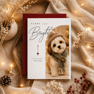 Cartão De Festividades Retrato de Natal de Cachorrinho de Malha Aconchega