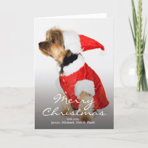 Cartão De Festividades Retrato do yorkshire terrier que veste o chapéu d