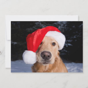Cartão De Festividades Retriever de ouros em Santa Hat