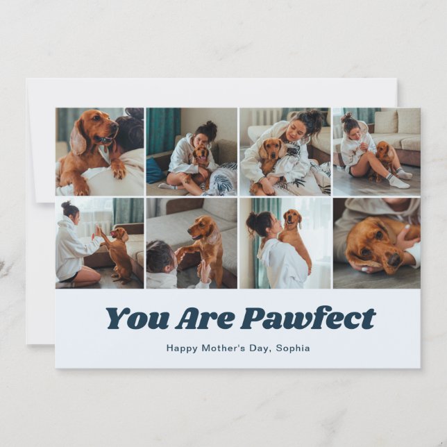 Cartão De Festividades Retro You Are Pawfect Dog Mom 12 Photo Blue (Frente)