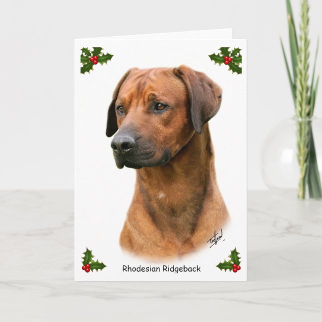 Cartão De Festividades Rhodesian Ridgeback 9Y338D-039 (Frente)
