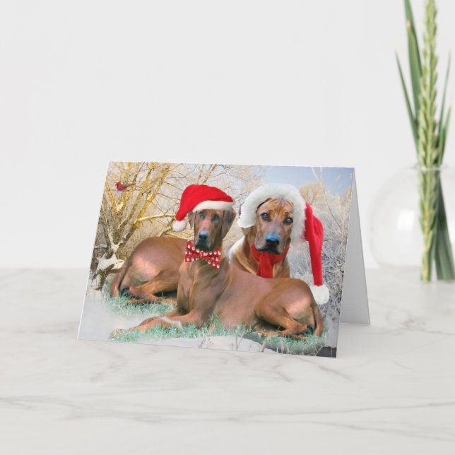 Cartão De Festividades Rhodesian Ridgeback Christmas Scene cards (Frente)