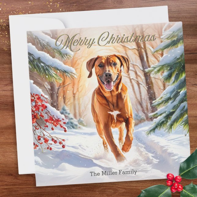 Cartão De Festividades Ridgeback Cachorro Na Neve Feliz Natal (A Christmas card with illustration of a Rhodesian Ridgeback dog running through the winter snow)