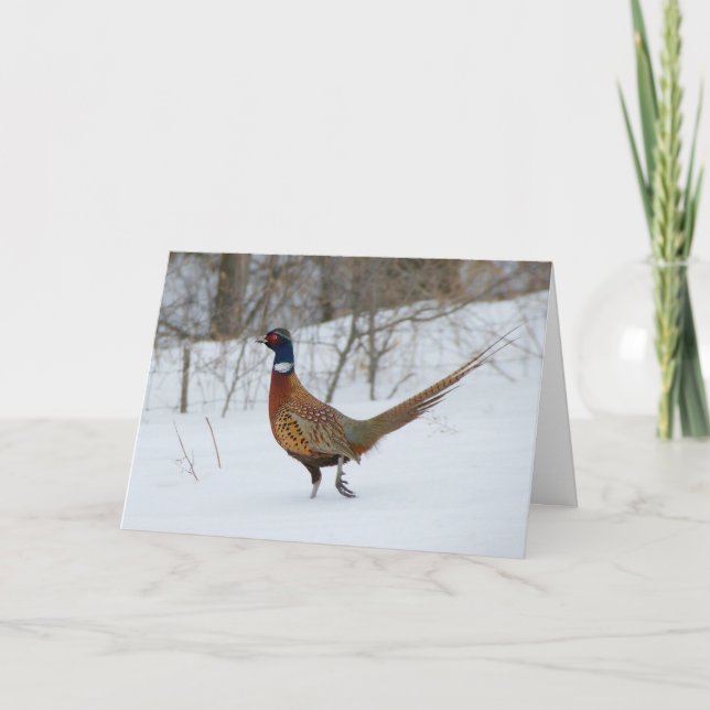 Cartão De Festividades Ring-Neck Pheasant in Snow Holiday Greeting Card (Frente)