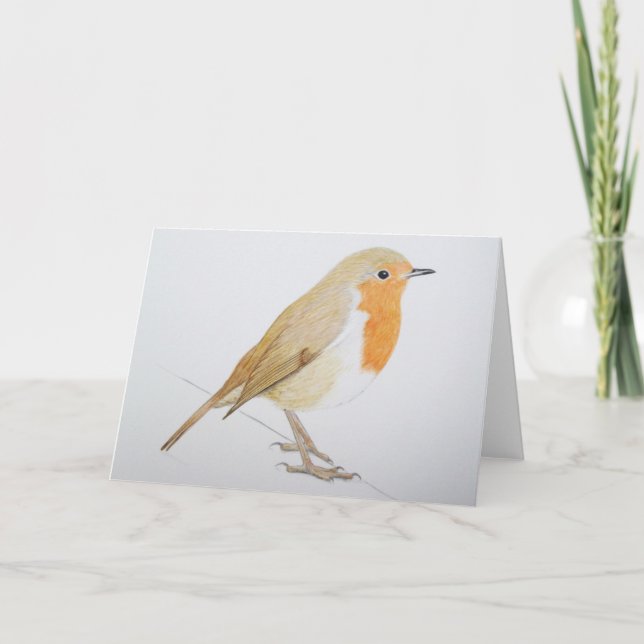 Cartão De Festividades Robin 2011 (Frente)