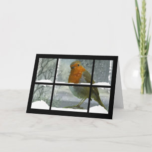 Cartão De Festividades Robin Christmas Card with snow scenery
