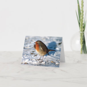 Cartão De Festividades Robin Personalizado na Neve