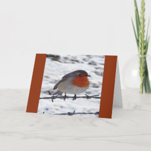 Cartão De Festividades Robin Redbreast