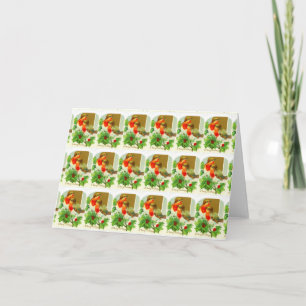 Cartão De Festividades Robins