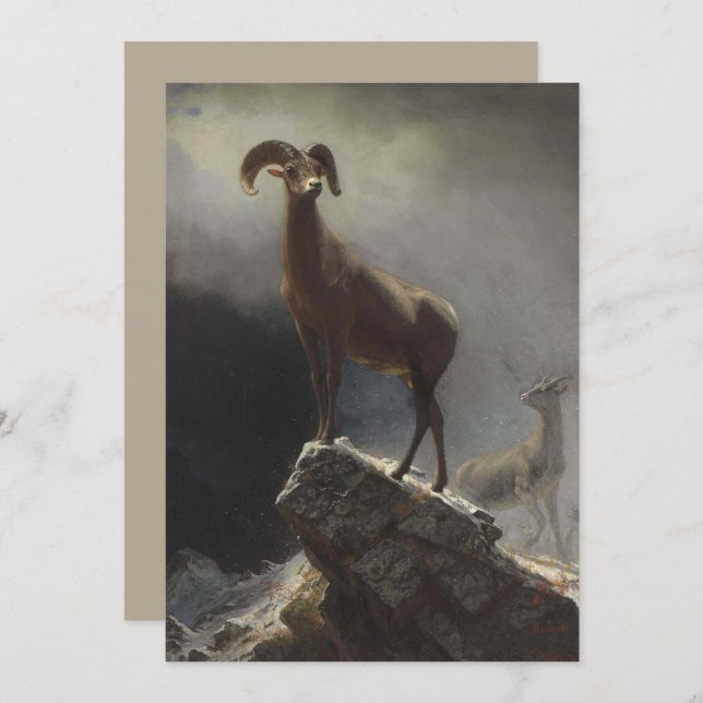 Cartão De Festividades Rocky Mountain Sheep por Albert Bierstadt (Frente/Verso)