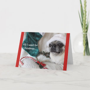 Cartão De Festividades Romantic Pug Christmas Card