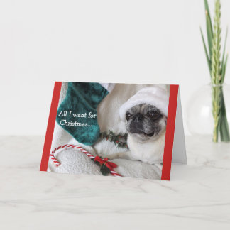 Cartão De Festividades Romantic Pug Christmas Card