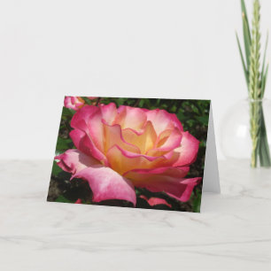 Cartão De Festividades Rosa