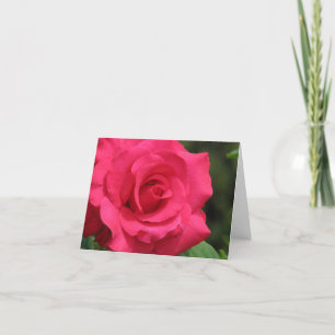 Cartão De Festividades Rosa