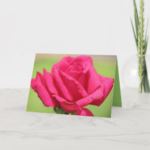 Cartão De Festividades Rosa cheira mais doce