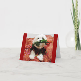 Cartão De Festividades Rosa do namorados (dentro do vazio)