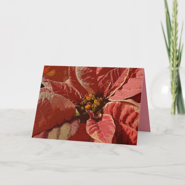 Cartão De Festividades Rosa e Cream Poinsettias (Frente)