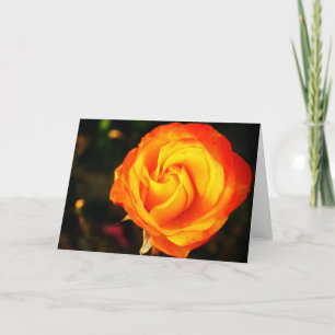 Cartão De Festividades Rosa laranja