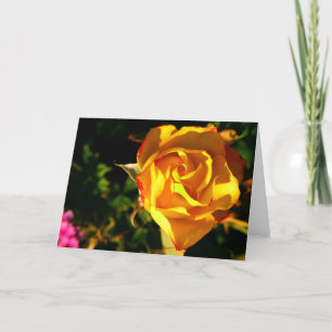 Cartão De Festividades Rosa laranja