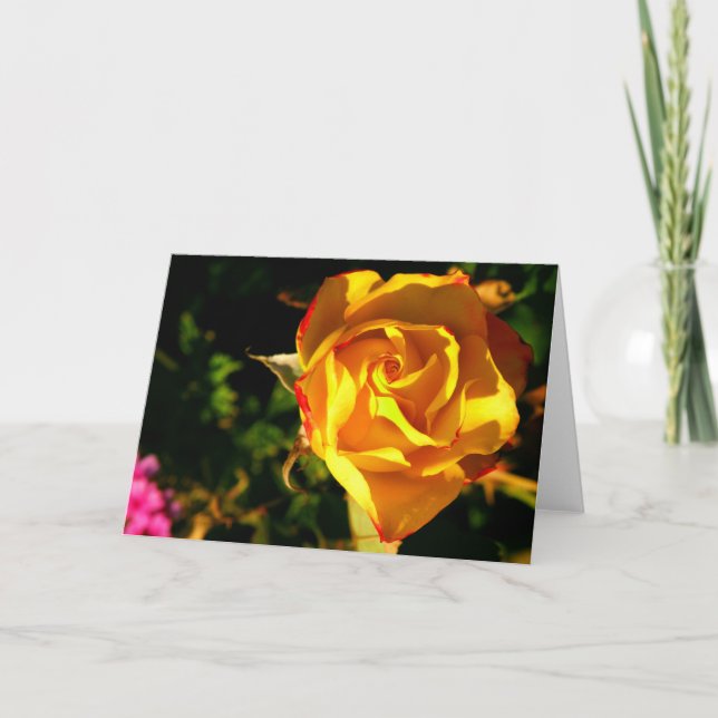 Cartão De Festividades Rosa laranja (Frente)