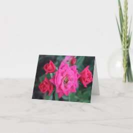 Cartão De Festividades Rosa Rosa Macro Rosa para Dia de as mães