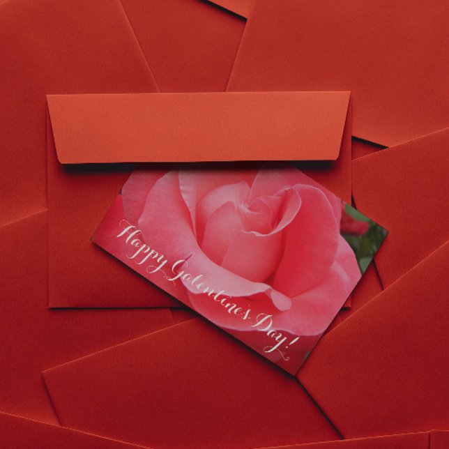 Cartão De Festividades Rosa Rosa Rosa Rosa Floral Dia dos Galentinos (In Situ)