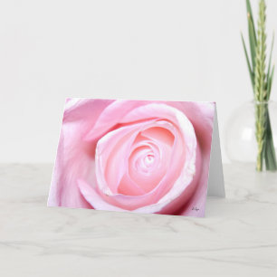 Cartão De Festividades Rosa Rosa Rosa Rosa Rosa, S Cyr