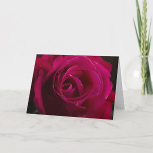 Cartão De Festividades Rosa vermelha