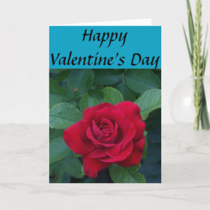 Cartão De Festividades Rosa vermelha com folhas verdes