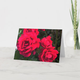 Cartão De Festividades Rosário de Rosas Vermelhas
