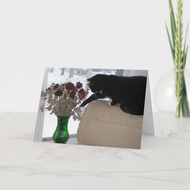 Cartão De Festividades Rosas e o Gato (Frente)