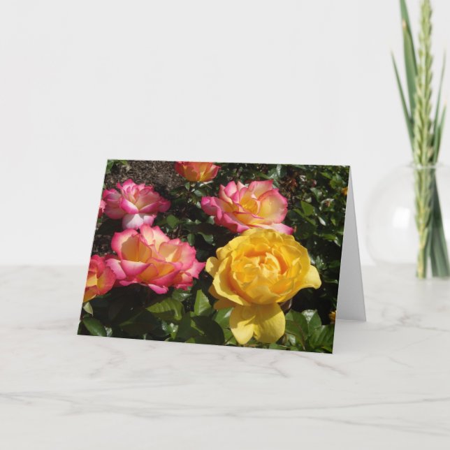 Cartão De Festividades Rosas, Rosas, Rosas! (Frente)