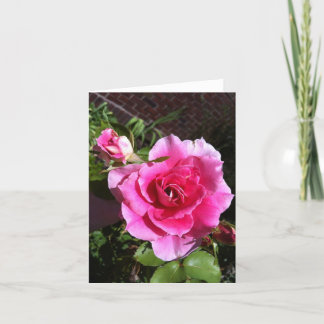 Cartão De Festividades Rose Notecards