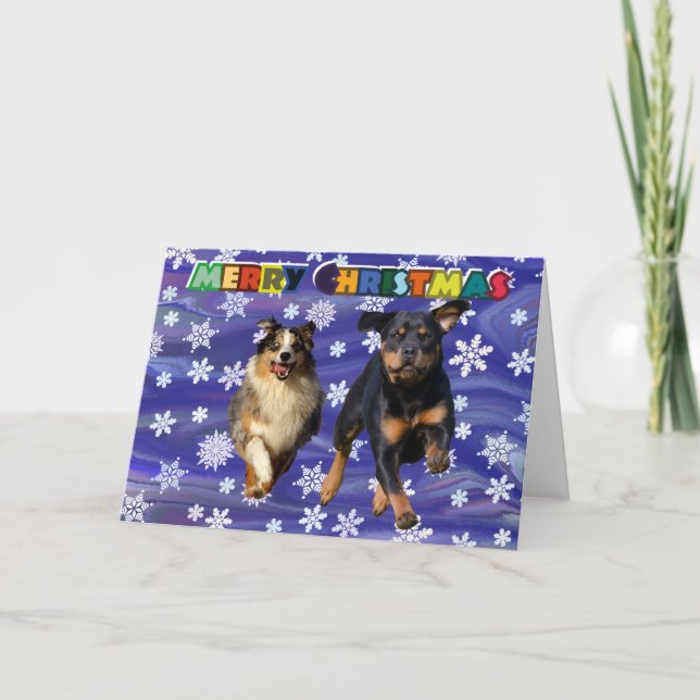 Cartão De Festividades Rottweiler and collie dog christmas card (Frente)