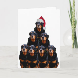 Cartão De Festividades Rottweiler Christmas