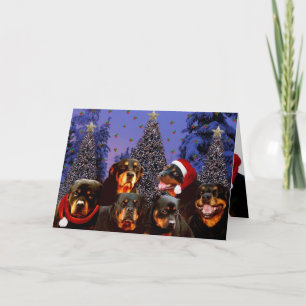 Cartão De Festividades Rottweiler Christmas