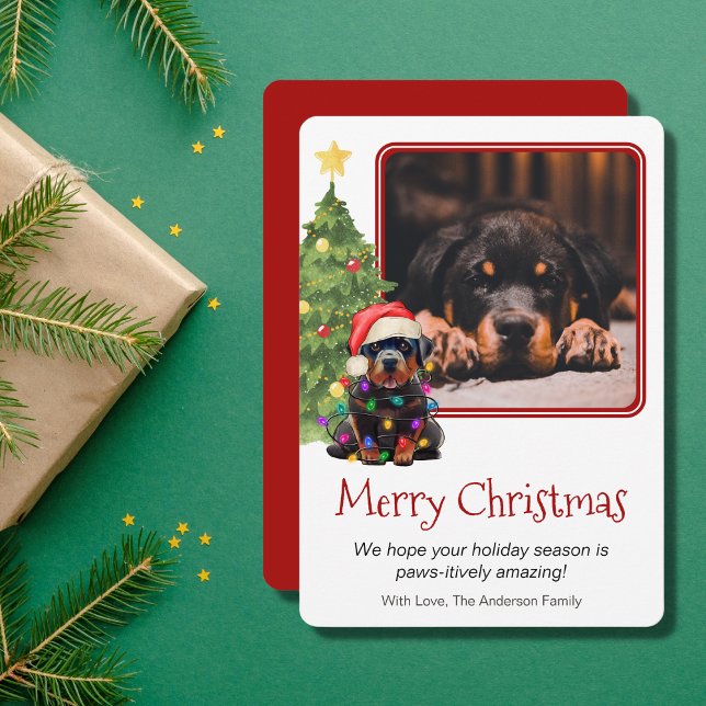 Cartão De Festividades Rottweiler e Cão-de-Pé-de-Natal Uma Foto (Criador carregado)