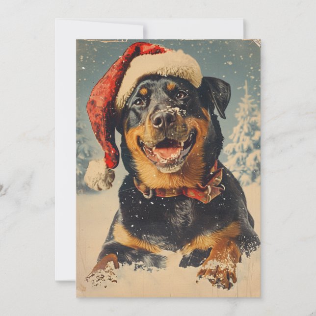 Cartão De Festividades Rottweiler Natal (Frente)