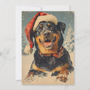 Cartão De Festividades Rottweiler Natal