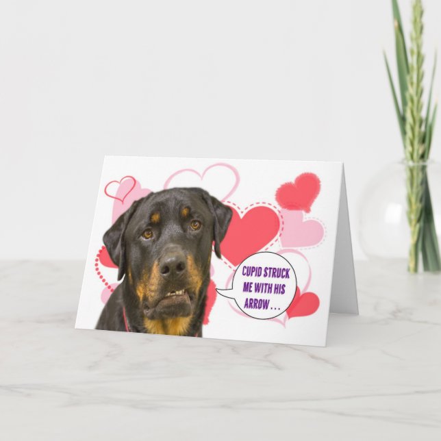 Cartão De Festividades Rottweiler Valentine's Day Card (Frente)