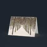 Cartão De Festividades Rows of trees<br><div class="desc">Trees in snow on the Greenwich Peninsula</div>