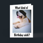 CARTÃO DE FESTIVIDADES RUAS. BERNARD ENVIA DESEJOS DE ANIVERSÁRIO "ENORME<br><div class="desc">Ele está pronto para dizer ***FELIZ DESEJOS DE ANIVERSÁRIO*** de uma forma *EXTREMAMENTE ENORME** E ele é tão bonito também!!!!</div>